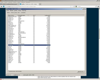 Správce procesu.jpg
