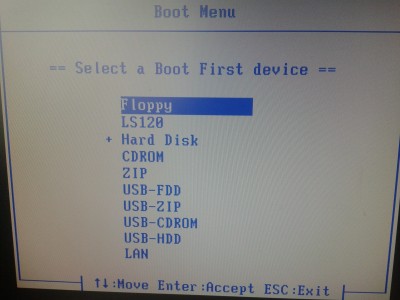 2013-06-15 10.01.06.jpg