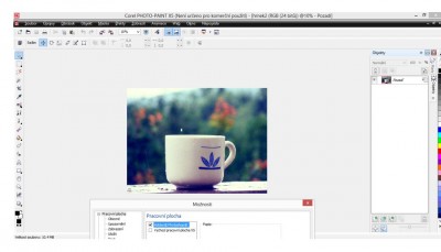 Corel Photo-Paint X5.jpg