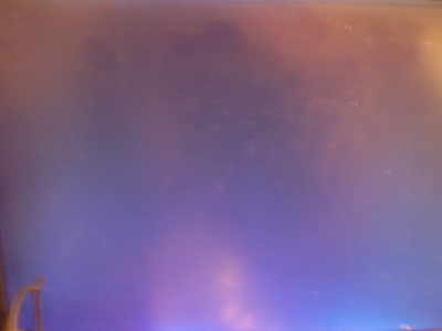 Zamrznutá černá obrazovka, místo načítání Windows (nelze restartovat klávesnicí)