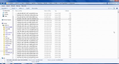 Zde je spousta souborů dmp, které namají velkou velikost, většina má 0kB