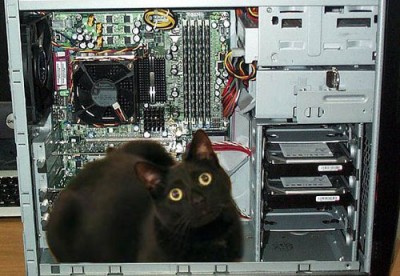 cat_in_computerHD.jpg