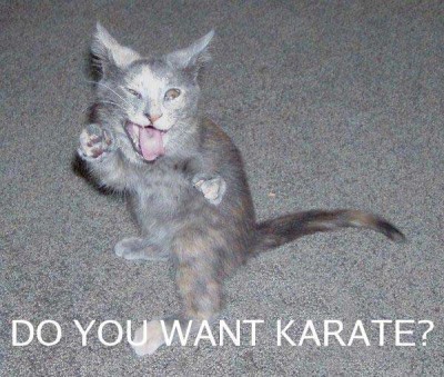 karate.jpg