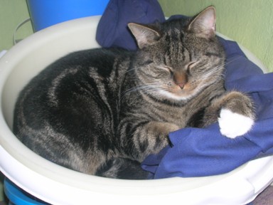 třetí je Mourek...