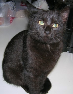 a nejmladší je Čert...