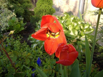 4.květen 2006 003.jpg