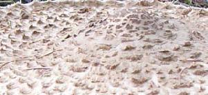 Zasvěcený ví....nezasvěcený tápe.....