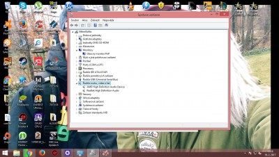 spravce.jpg (296.06 KiB) Zobrazeno 861 x Okéy